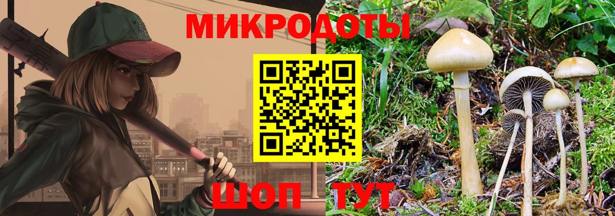 Галлюциногенные грибы MAGIC MUSHROOMS Углич