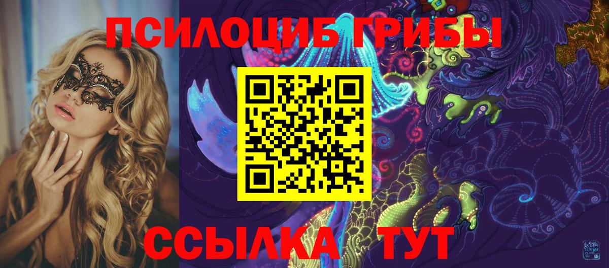 Псилоцибиновые грибы Magic Shrooms  продажа наркотиков  Вход с VPN  Углич  Псилоцибиновые грибы мицелий 